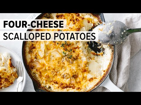 CHOCOLATE MUG CAKE gluten free dairy free and paleo