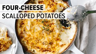 BEST EVER SCALLOPED POTATOES | four-cheese blend