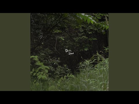 Drive Slow - Nick Folwarczny
