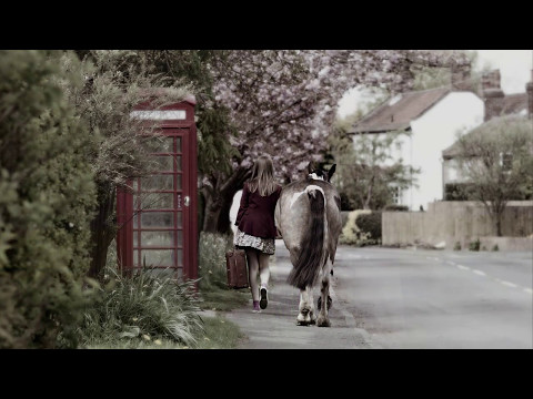 Lovely Ladies, Gorgeous Girls and Horses