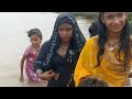 Jawo Ka Last Din Anuradha Village Vlogs Village Vlogs Village Life Daily Vlogs