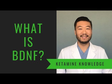 What is Brain Derived Neurotrophic Factor?
