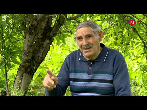 Ömür qatarı - 30.05.2022