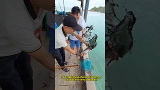 Download lagu Ink Attack! Squid Sprays Fishermen on Boat in Hilarious Moment. mp3