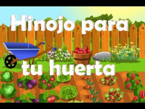 , title : 'Cultiva Hinojo en tu huerta o jardín'