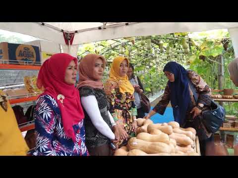 Pakaian untuk pembesaran penis Masalah IRR dengan potensi