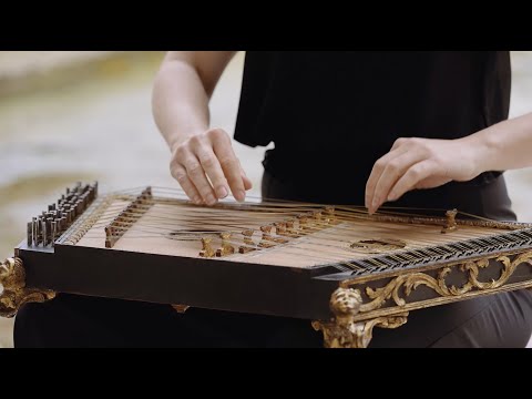 Franziska Fleischanderl - Vivaldi: Concerto RV 186 (Excerpt)