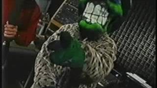 Sarsippius from Infectious Grooves/Suicidal Tendencies !