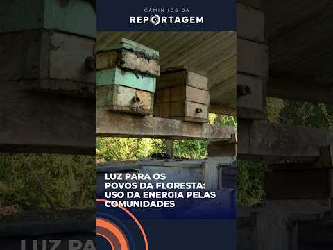 Luz para os povos da floresta: uso da energia pelas comunidades
