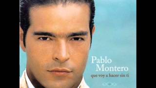 Pablo Montero  Vuelve Junto a Mi