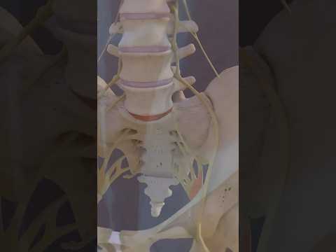 Боль в ногах утром