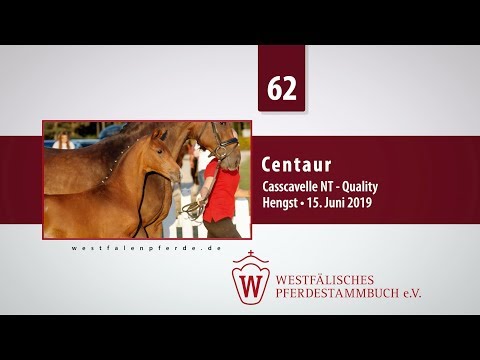 62 Centaur  Hengst v. Casscavelle  NT - Quality