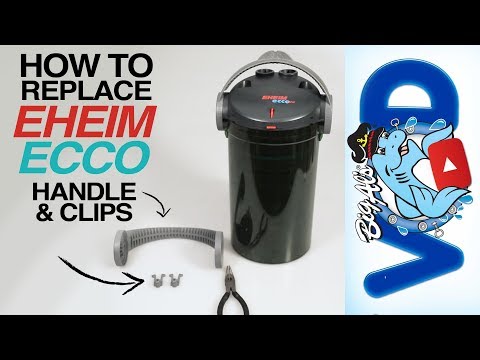 Watch Video on YouTube