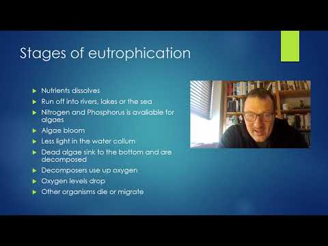 Eutrophication Pogil Answer Key For Summer