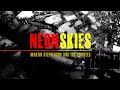 Neon Skies - Martin Stephenson And The Daintees