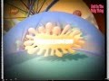 Nickelodeon UK Continuity Sting 2002 3