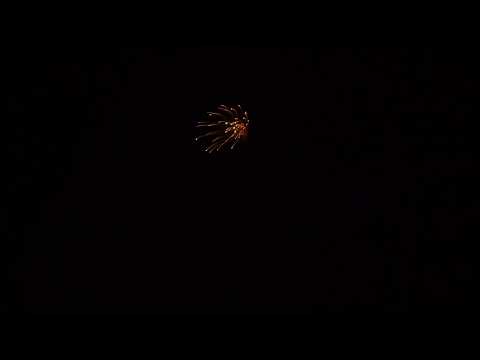 5inch gold willow to white strobe waterfall (445.5040)