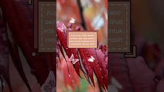 Download lagu kata kata mutiara cinta #shorts mp3