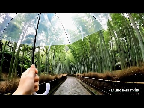 Walking in the Rain Arashiyama Bamboo Grove in Kyoto, Japan (Relaxing Sounds for Sleep) 4k ASMR #1