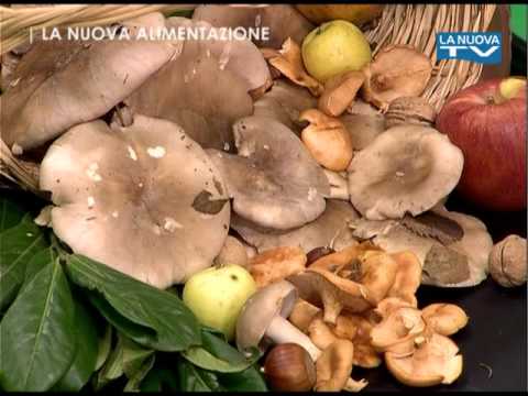 Puntata 1 - La Nuova alimentazione - Funghi