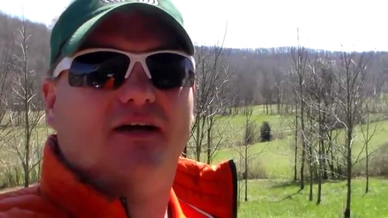 Hunting in Wayne County, KY: A 600-Acre Deer Hunting Paradise