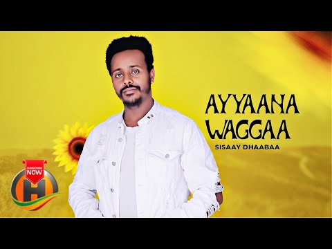 Sisaay Dhaabaa - Ayyaana Waggaa - New Ethiopian Oromo Music (Official Video)