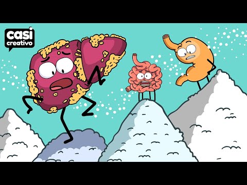 Tus Órganos Cuando Comes Mucho Azúcar | Casi Creativo