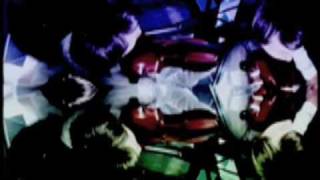 Bertrand Burgalat  & Robert Wyatt - This Summer Night