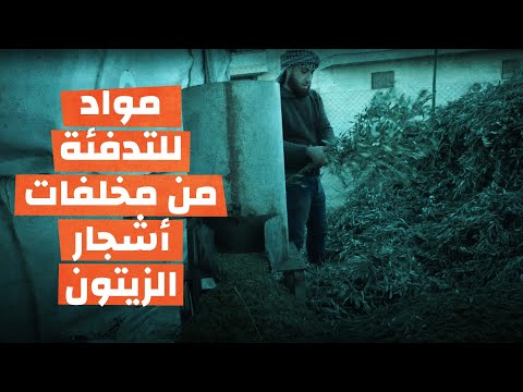 مواد للتدفئة من مخلفات أشجار الزيتون