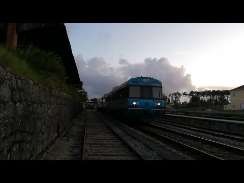 Comboios na Estação da Martingança