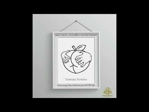 Drip Gogo, Dj Karri, Exceed DeeJay (feat. HarrissDontcare & FME Djs) -Tshwara Ngwana