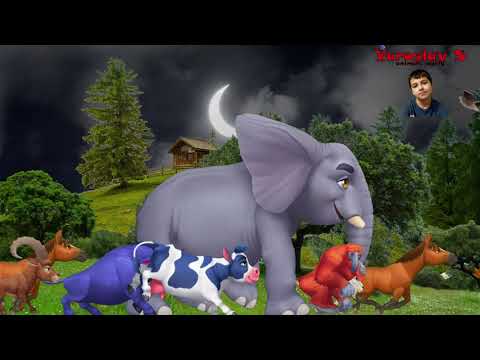 Animal Stampede | In The Village