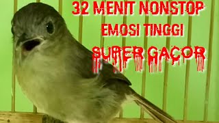Download lagu FLAMBOYAN GACOR EMOSI TINGGI NGEBREN  RAPAT NYERECET PALING Ampuh Buat  MASTERAN TERBARU mp3