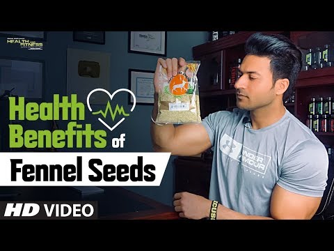 download lagu mp3 mp4 Eating Fennel Seeds, download lagu Eating Fennel Seeds gratis, unduh video klip Eating Fennel Seeds