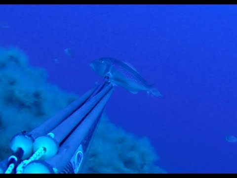 Fusil de pesca submarina de carbono - AUSTRALIA - Mérou Sea Engineering