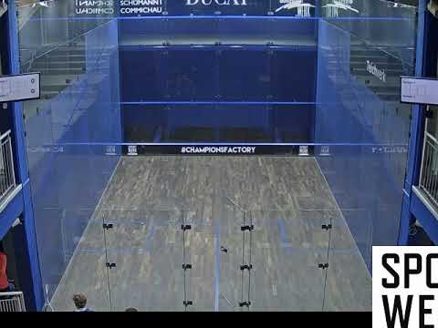 BUNDESLIGA SQUASH: Sportwerk Hamburg - 1. SC Diepholz