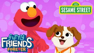Sesame Street: T-A-N-G-O (BINGO Song Remix) | Elmo &amp; Puppy Furry Friends Forever