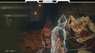 ＃１１ 【ARPG/PS5】ELDEN RING -エルデン リング- 星見　竜のツリーガードが倒せない・・・