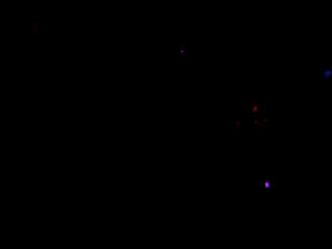 Prodo X Revival Party 2K9 pt2