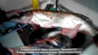 Принцип работы эхолота фишерман 600