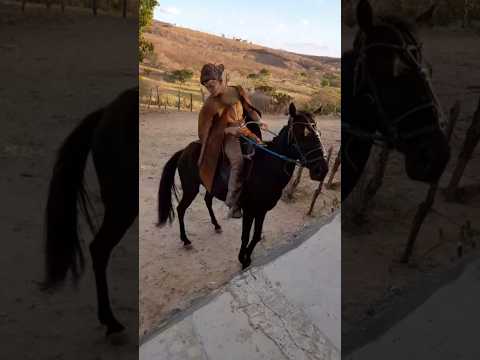 vaqueiro das quebradas do sertão de pedra branca ceará