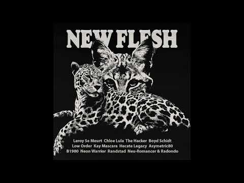 Neon Warrior - Bye (New Flesh II)