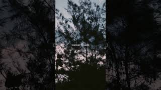 Download lagu takkan hilang #liriklagu #laguindonesia #budidoremi #storywa #shorts mp3 Download lagu takkan hilang #liriklagu #laguindonesia #budidoremi #storywa #shorts mp3