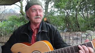 Larry Burns - Cocaine Blues (Reverend Gary Davis)