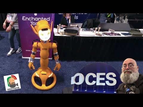 Mirokaï Review Video 2