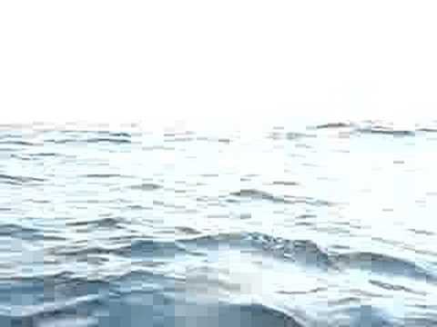 False Bay Crossing - fins in the water