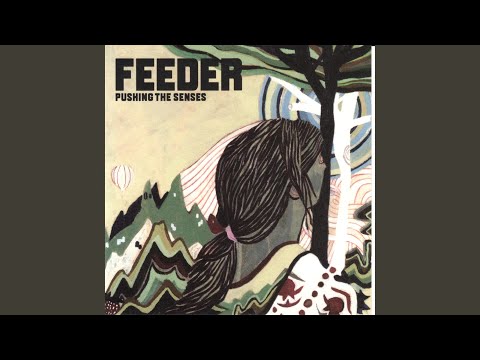Pushing The Senses - Feeder
