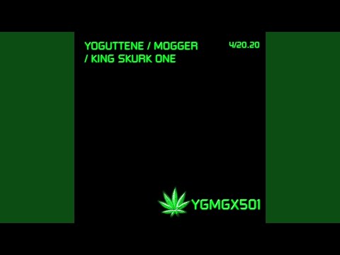 Video thumbnail for Ygmg501