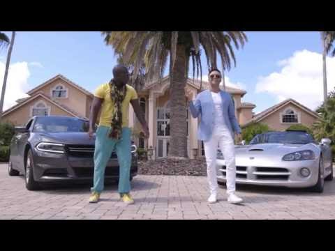 سبيطار 36 حاتم ادار