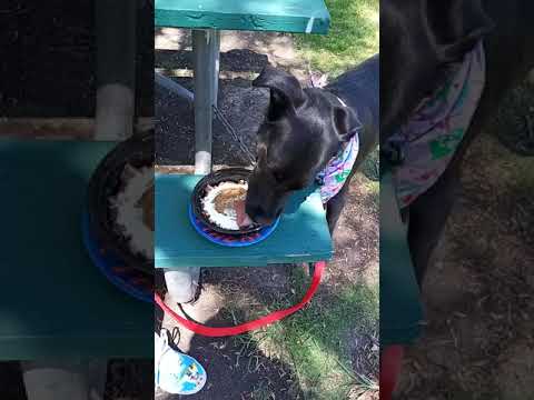 Nyssa's 3rd Birthday